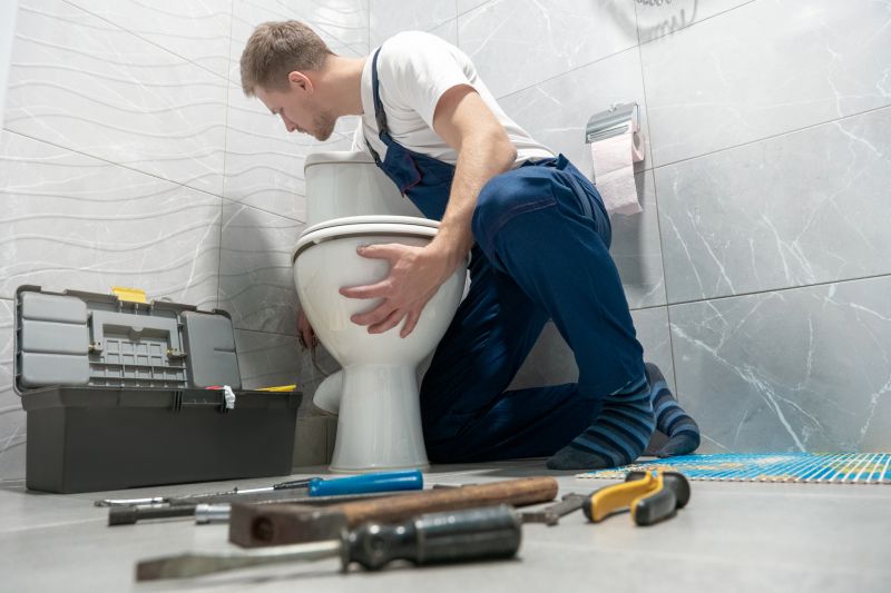 Toilet Installation Service detail