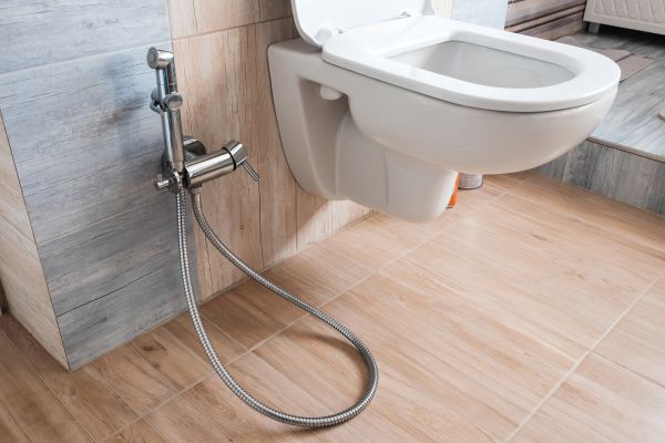 Cost of Bidet Service in Humble