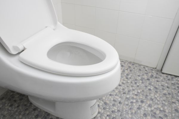 Cost of New Toilet Installation in Humble